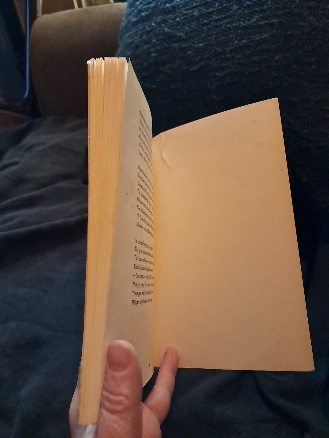 Good ‘Hart Crane’s The Bridge’ Commentaries by W. Frank & T. Vogler – 1970 PB