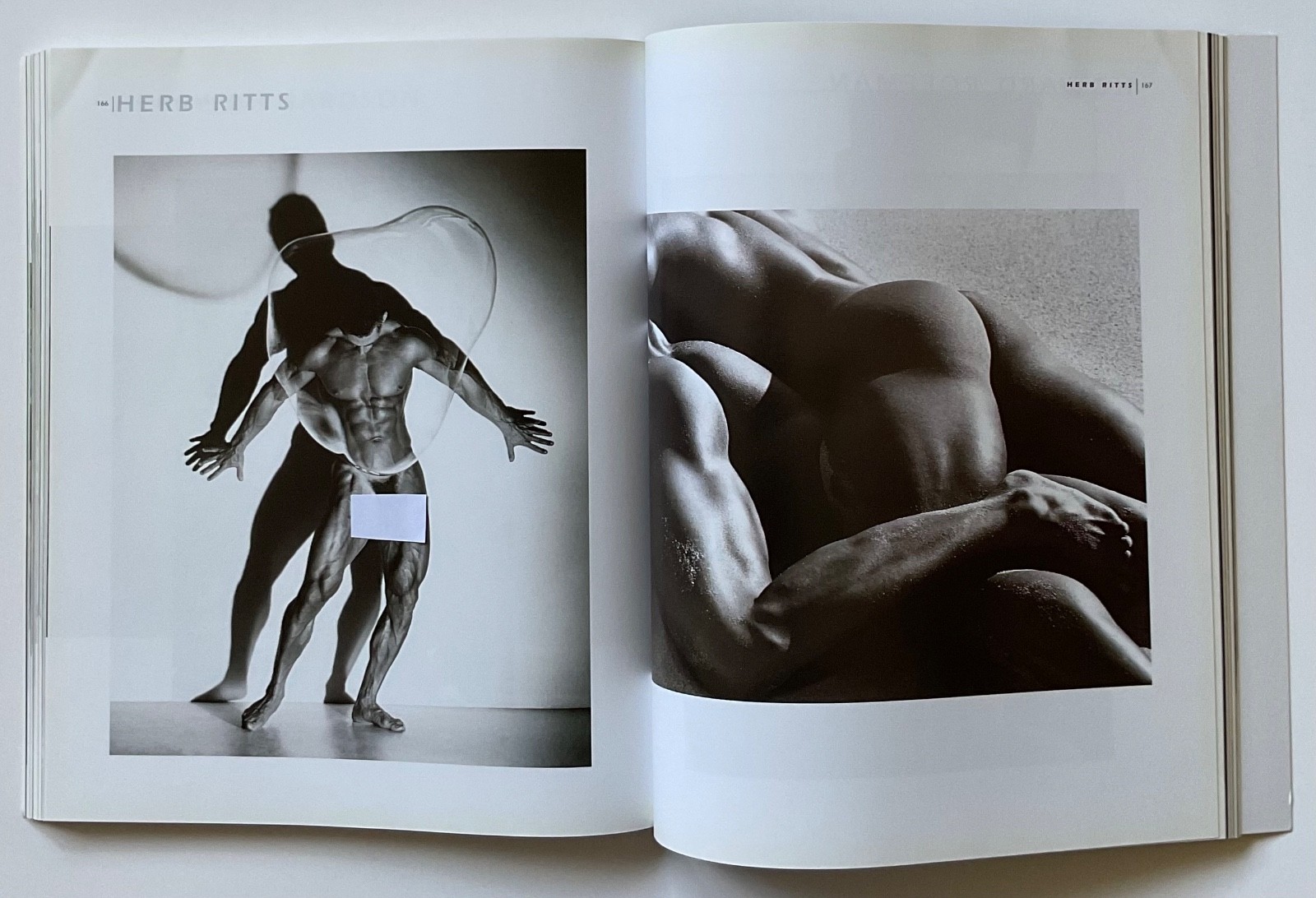 ADONIS Masterpieces of Erotic Male Photography OOP 1999 Book HERB RITTS ++++