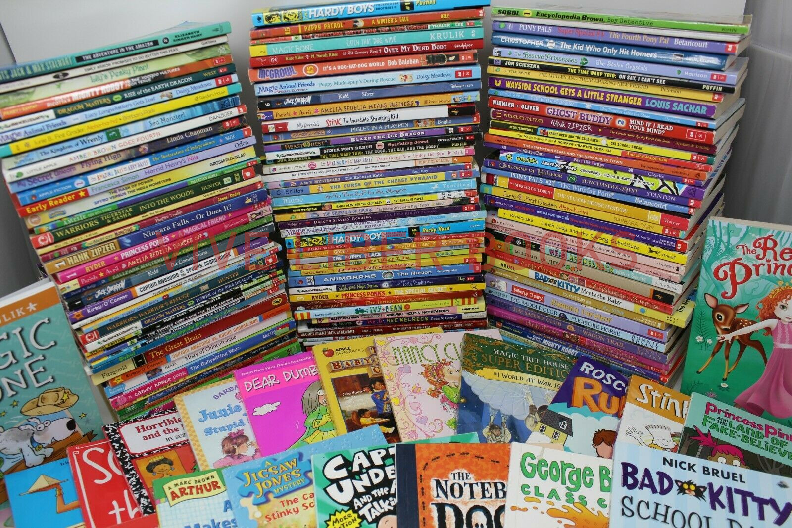 Bulk/Huge Lot of 100 of Children’s Kids Chapter Books – Random – Free Shipping!
