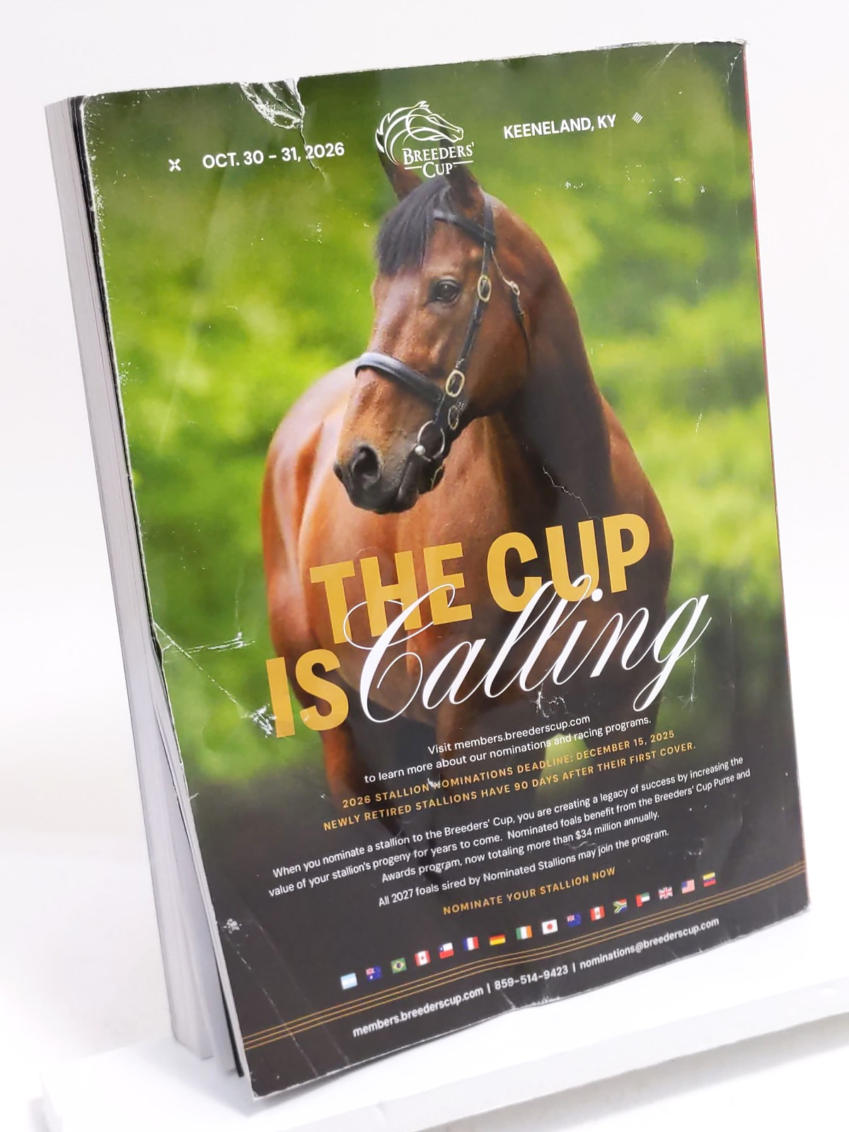 BloodHorse Stallion Register for 2026 – Paperback