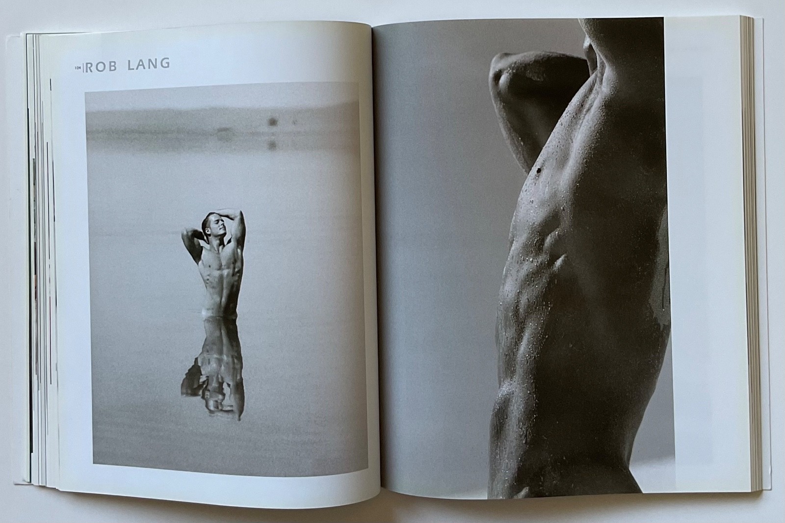 ADONIS Masterpieces of Erotic Male Photography OOP 1999 Book HERB RITTS ++++