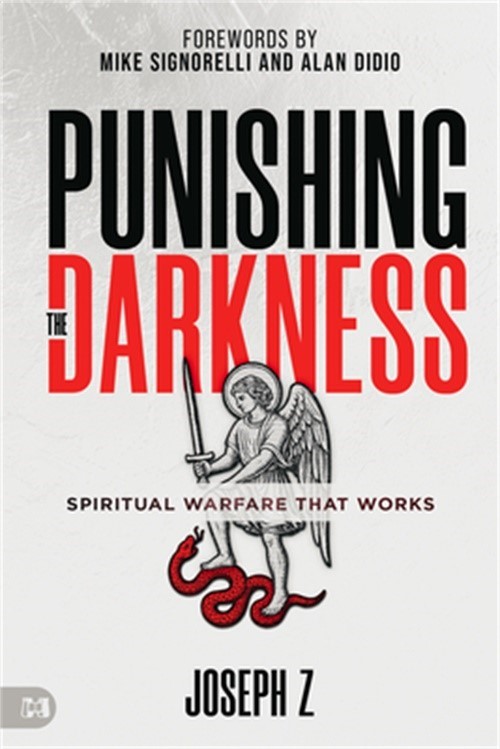 Punishing the Darkness: Spiritual Warfare That Works (Paperback or Softback)