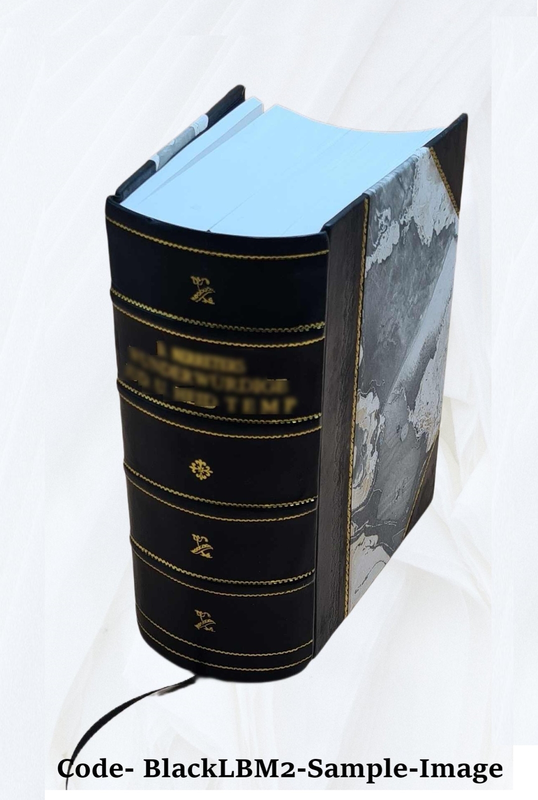 Commentaries On Equity Pleadings 1892 [Leather Bound]