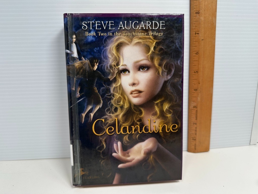The Touchstone Trilogy set Books Ex-Lib Teacher Homeschool Reading HC Augarde