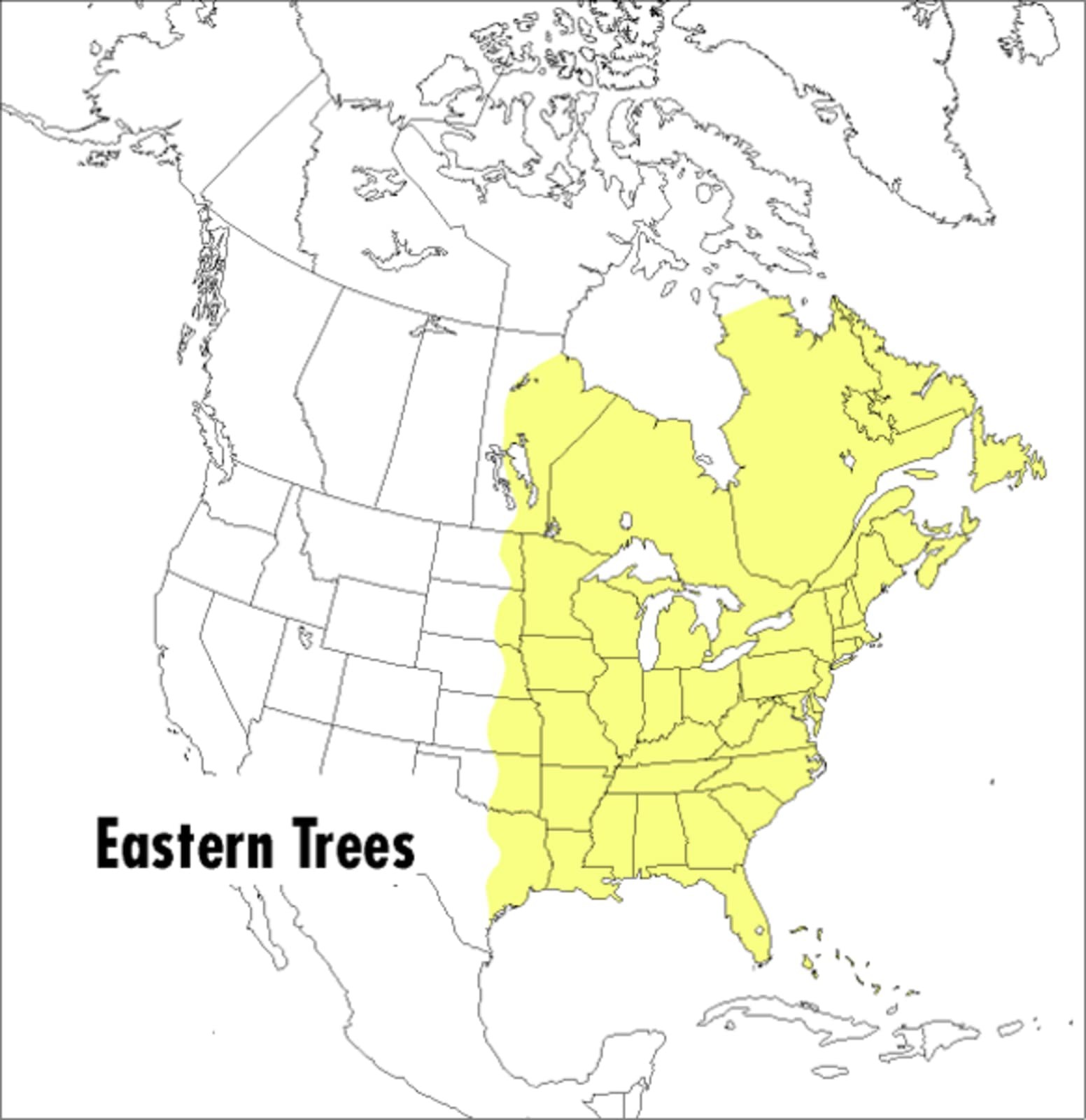 A Peterson Field Guide To Eastern Trees: Eastern United States…