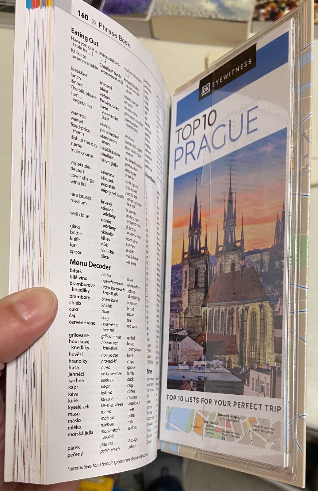 Lot of 10 Travel Guides & Language France Italy Europe Books Various Authors