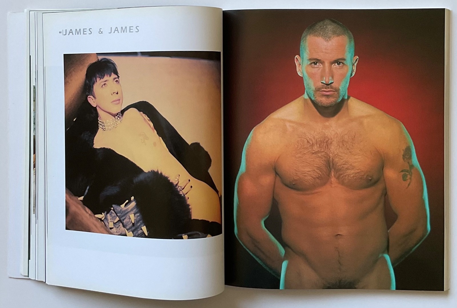 ADONIS Masterpieces of Erotic Male Photography OOP 1999 Book HERB RITTS ++++